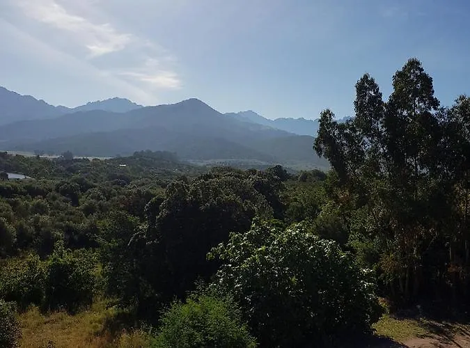 酒店 新科阿凯特酒店