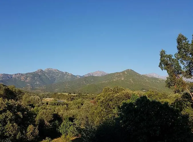 酒店 新科阿凯特酒店