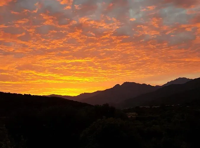 酒店 新科阿凯特酒店