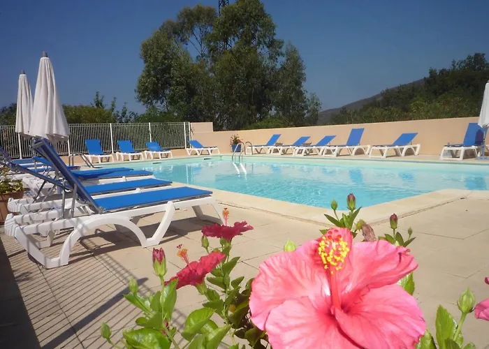 酒店 新科阿凯特酒店